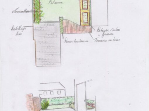 conception-de-jardin-image-01